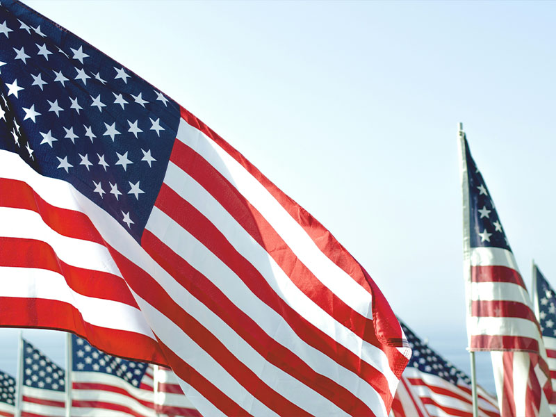 L-TOOLS United States flag waving outdoors, representing American heritage and events.